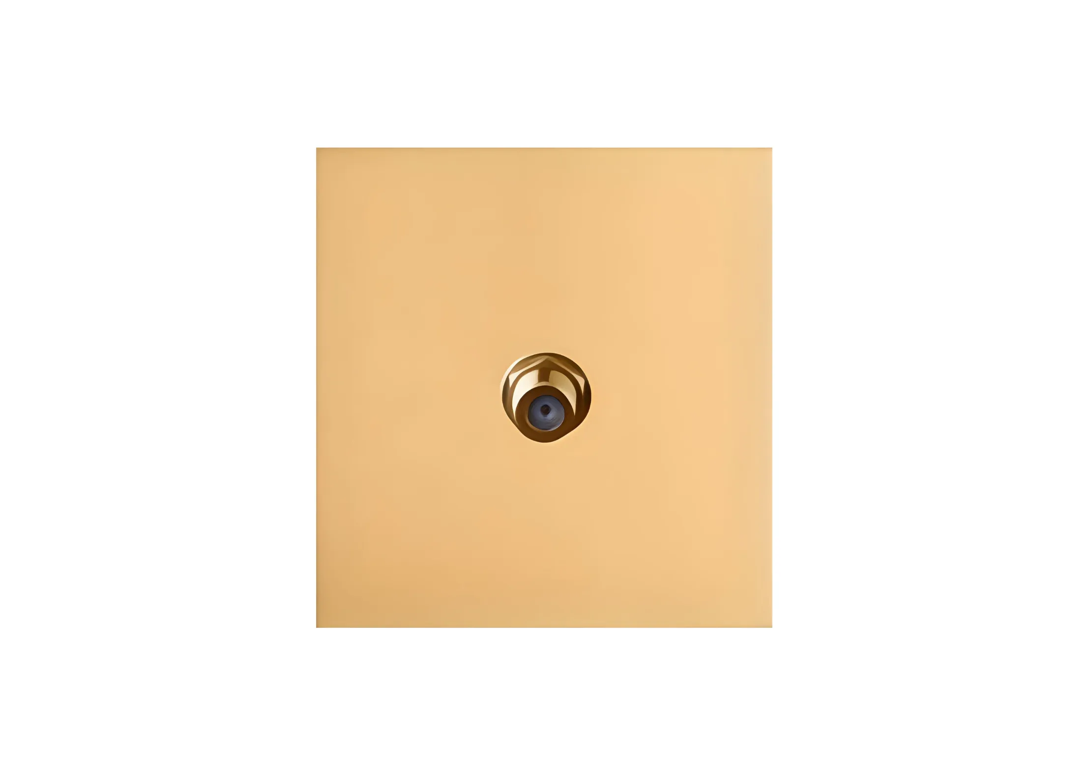 Satellite socket (86), High-end Metal panel