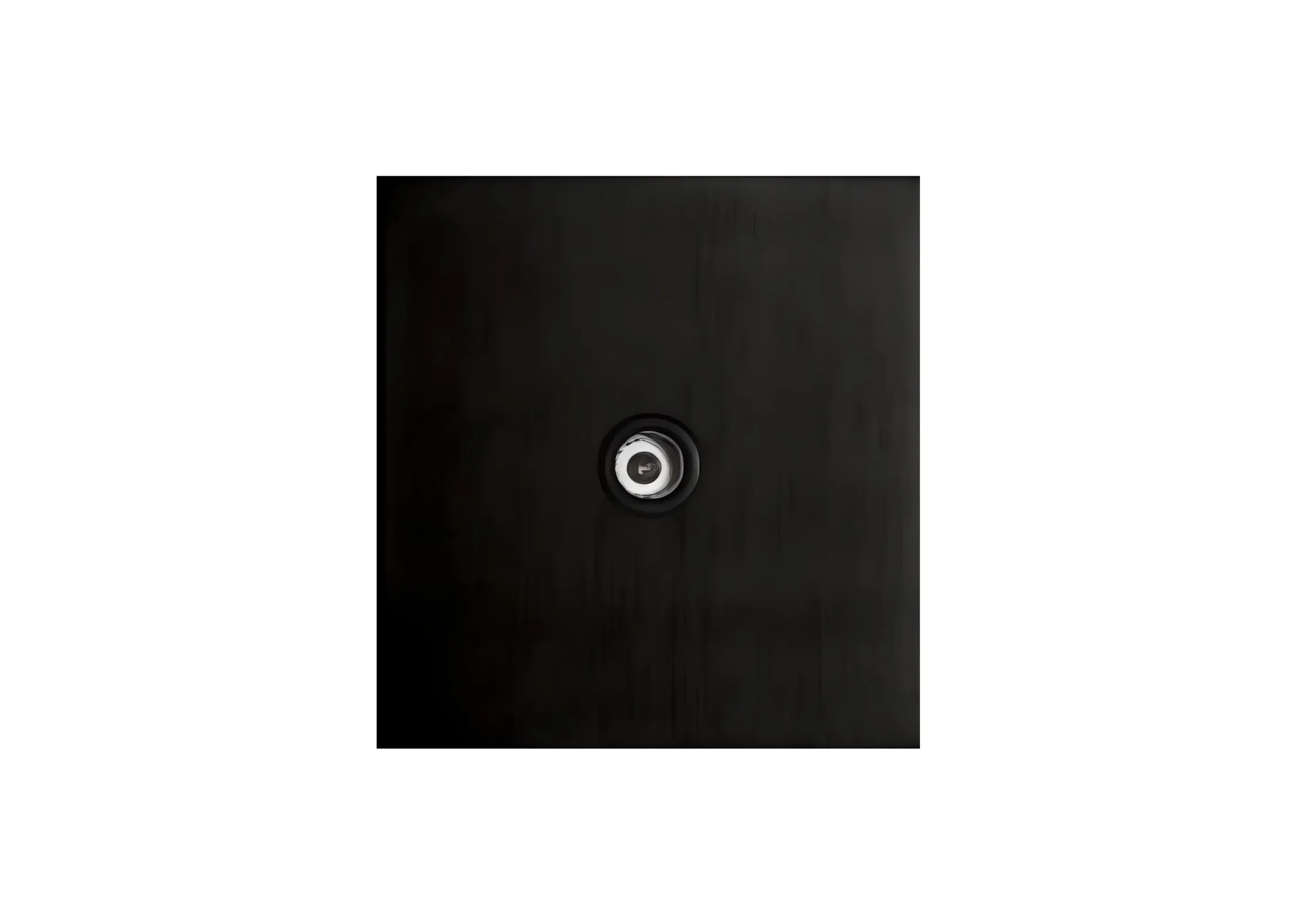 TV socket (86), High-end Metal panel